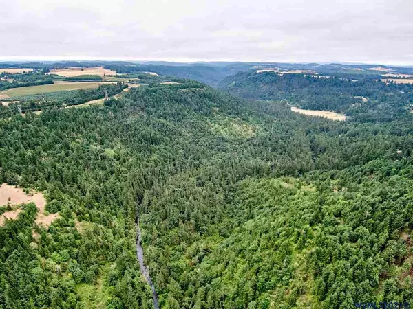 Silverton, OR 97381,Silver Creek Canyon (R38780)