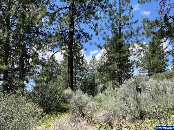 Lot 21-22 Legget Dr, Chiloquin, OR 97624