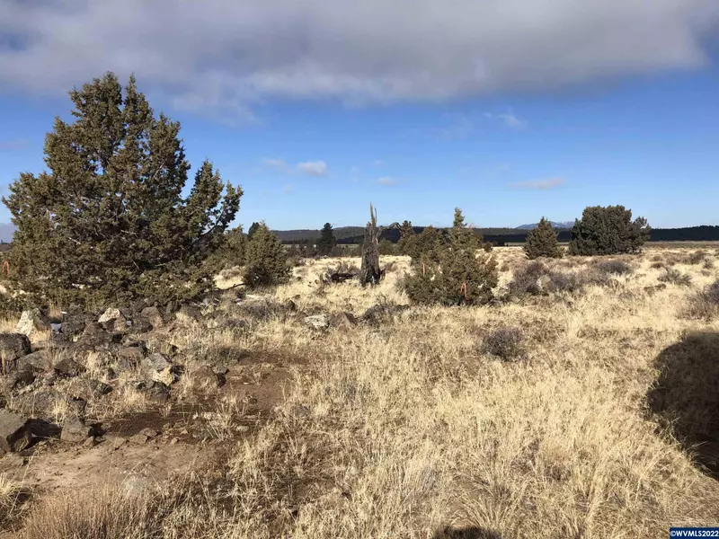 Okanogan (Lot #19) St, Sprague River, OR 97624