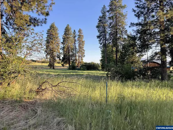 Chiloquin, OR 97624,Lot 3 Twin Lakes Rd