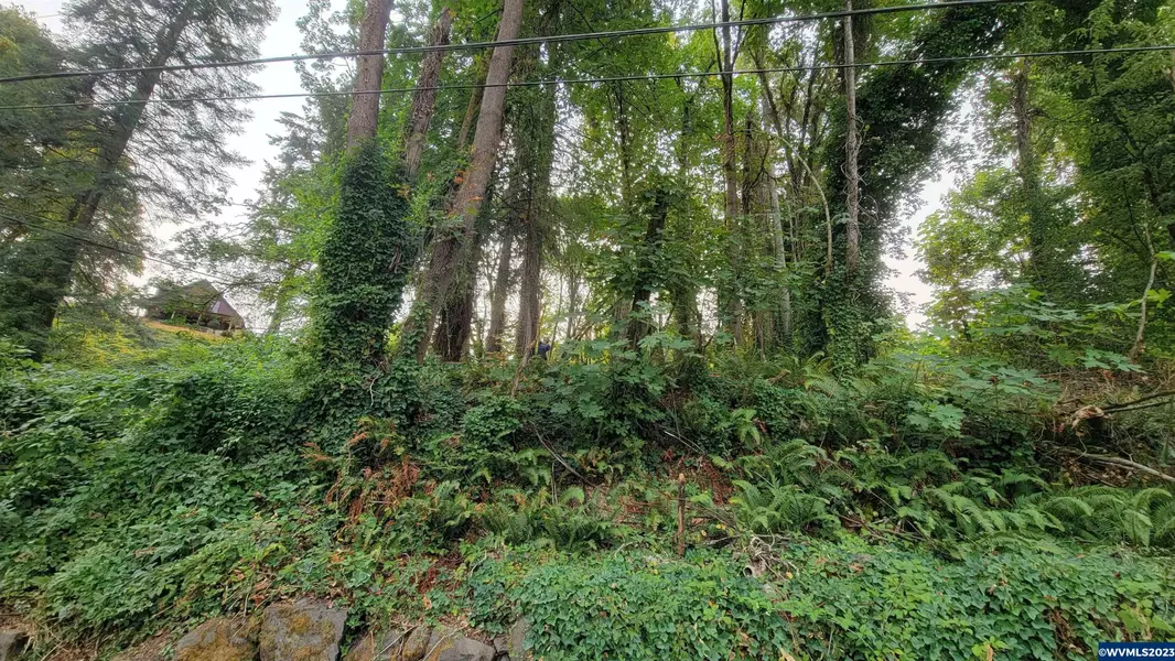 306 4th Av, Oregon City, OR 97045