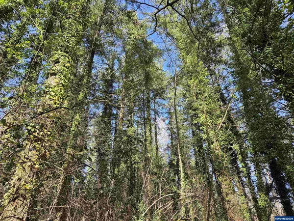 Albany, OR 97321,2700 Miller Ln NW NW