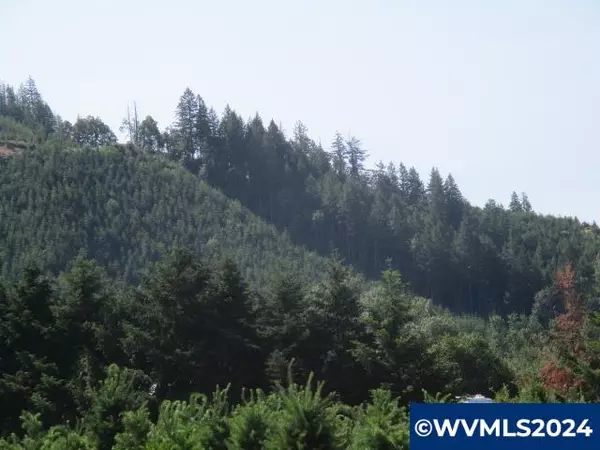 Scio, OR 97374,000 Thomas Creek Dr