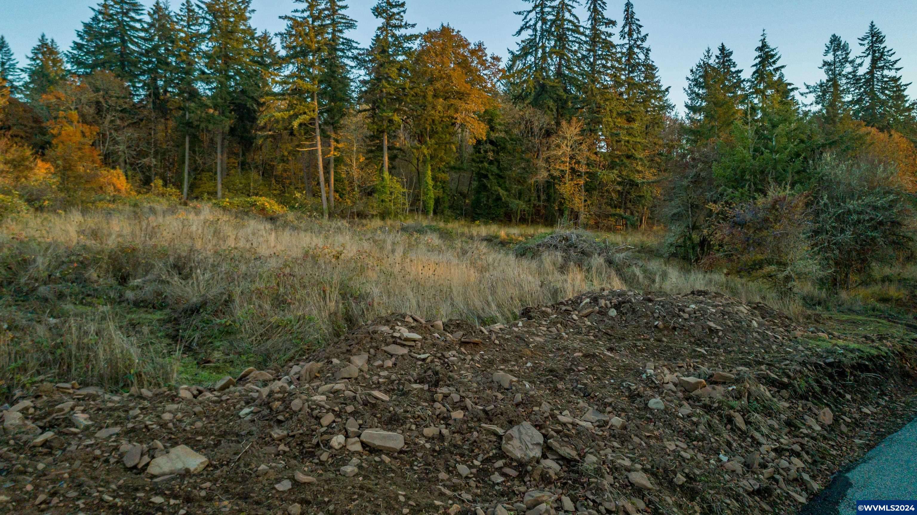 Lebanon, OR 97355,Parcel 1 Grant St