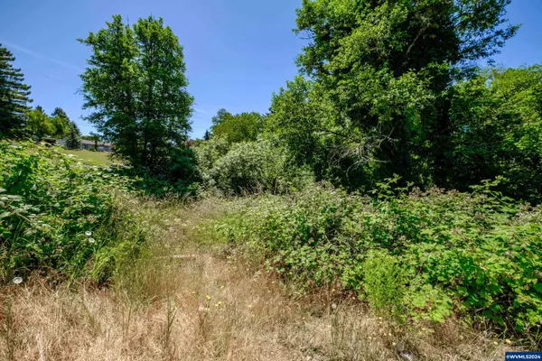 Sweet Home, OR 97386,Parcel 0259404 Long St