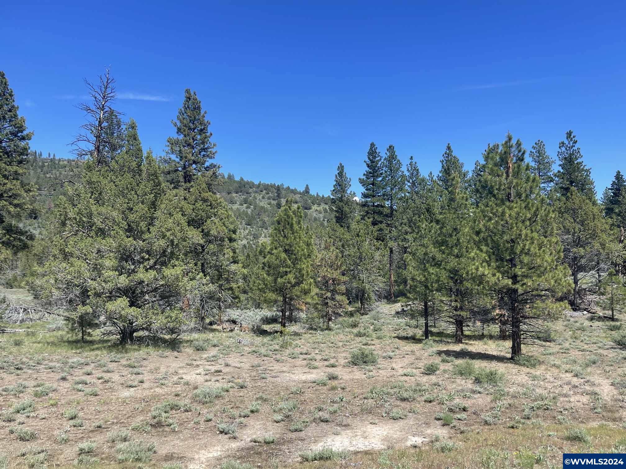 Lakeview, OR 97630,TL2802 HWY 140 Hwy