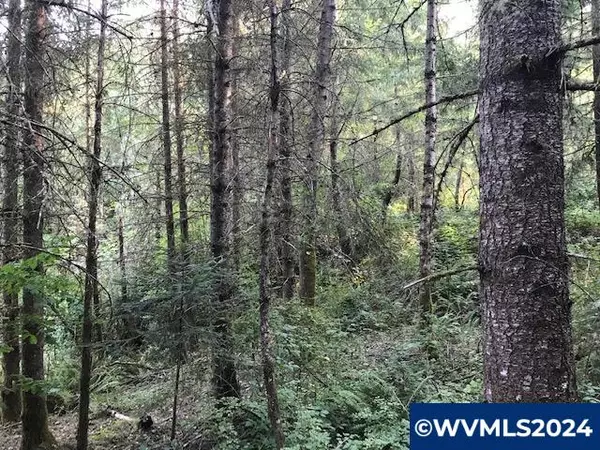 Scotts Mills, OR 97375,000 Crooked Finger Rd