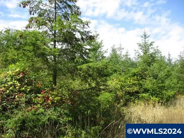 Lebanon, OR 97355,000 Bellinger Scale (3) Rd