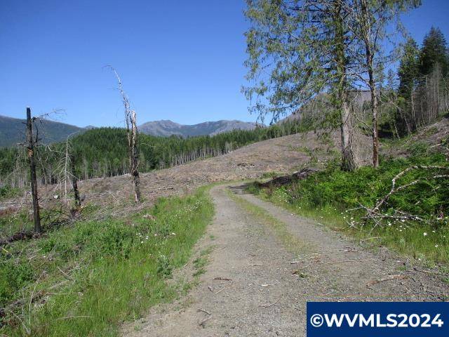 000 Green Mountain Rd, Gates, OR 97346