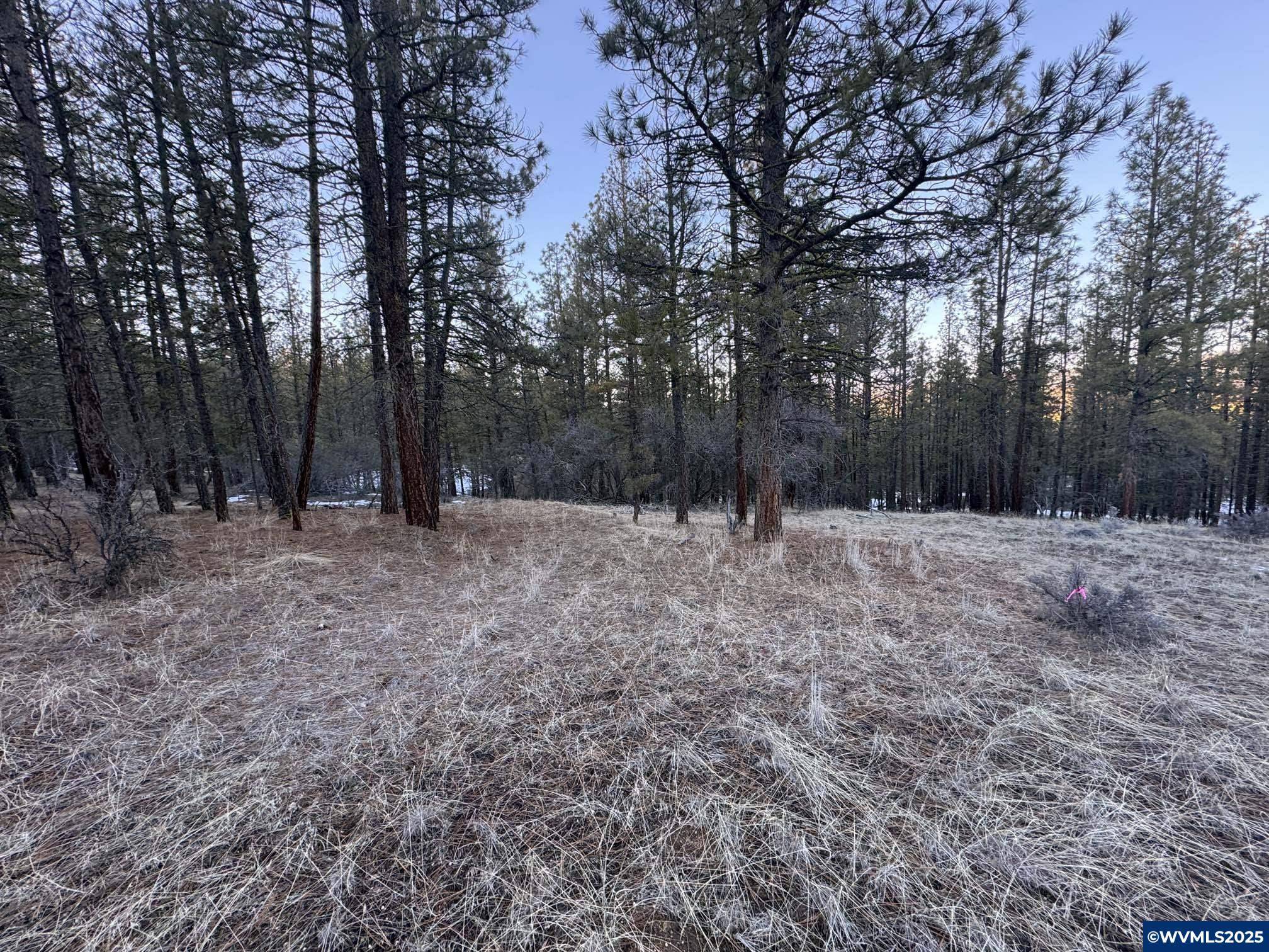 Beatty, OR 97621,Lot 7 Bobcat Cir