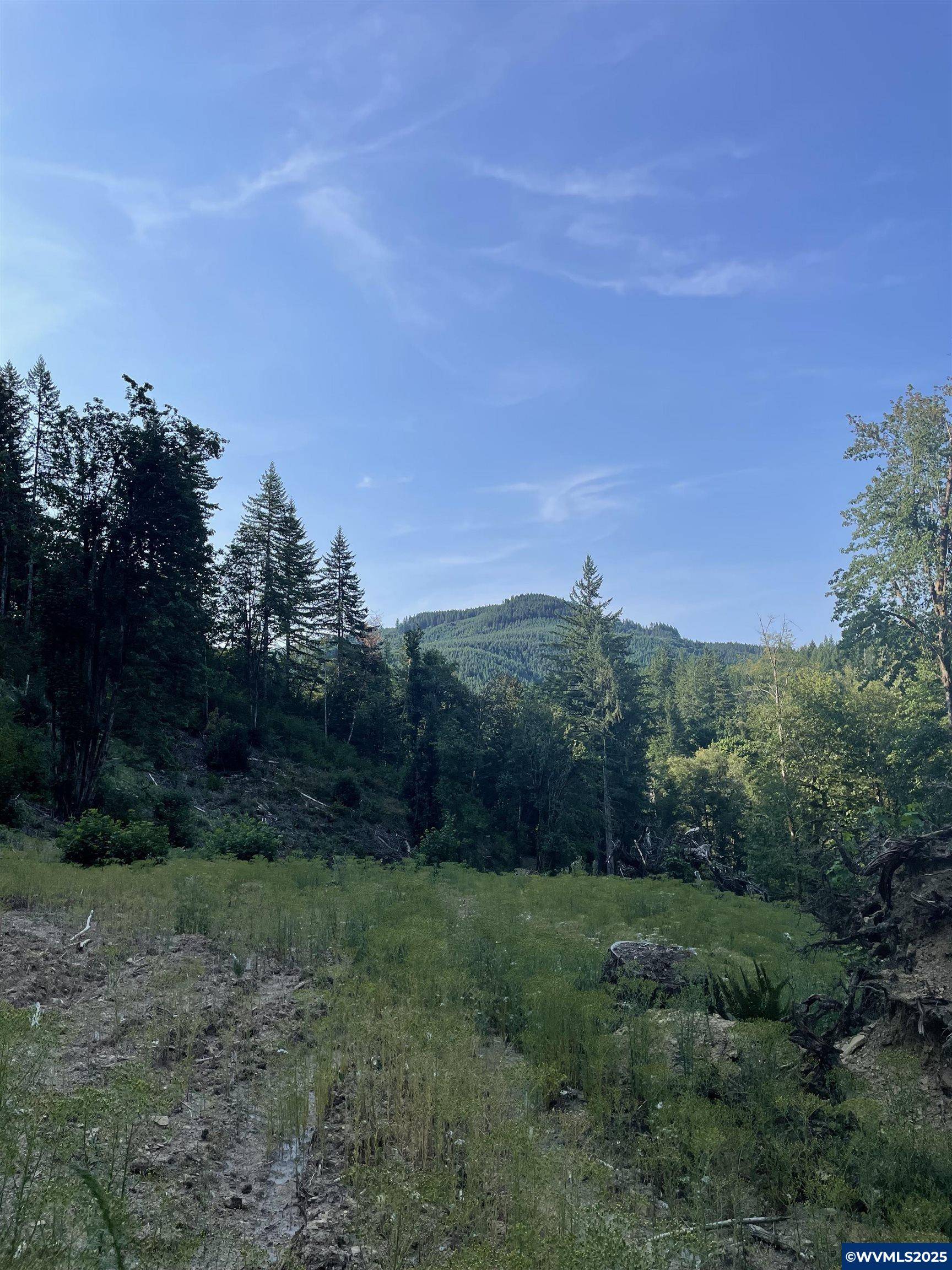 Pumpkinseed Rd, Willamina, OR 97396