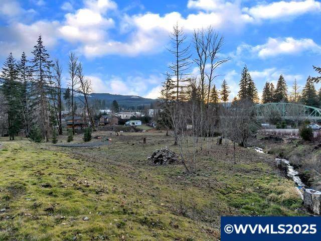 Mill City, OR 97360,150 Santiam Pointe Lp NE NE
