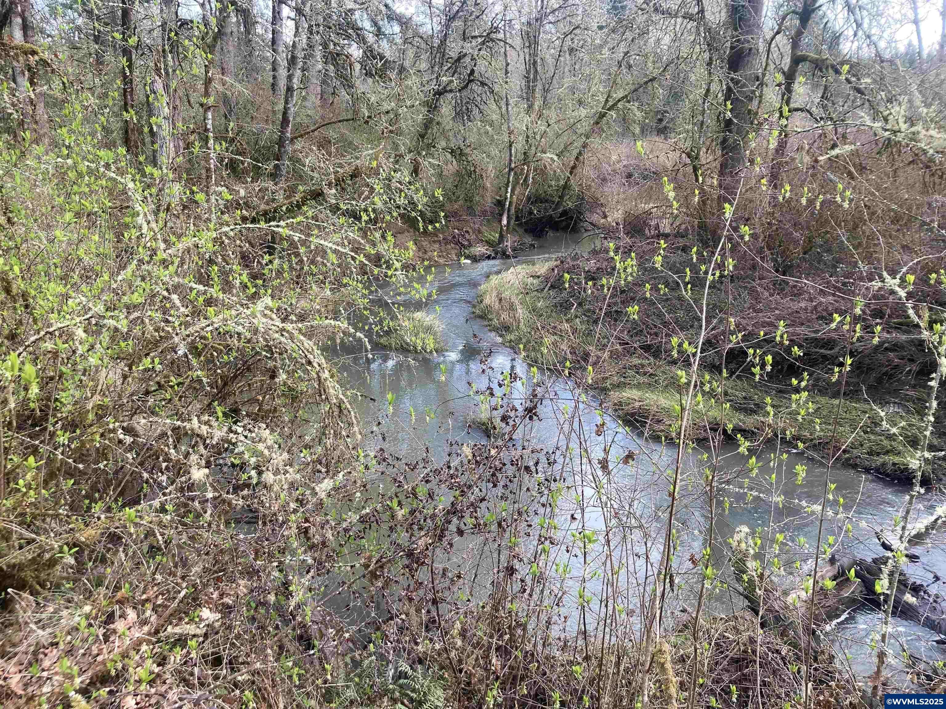PP  2020-049 #2 N of Spring Meadow Subdivision, Albany, OR 97321
