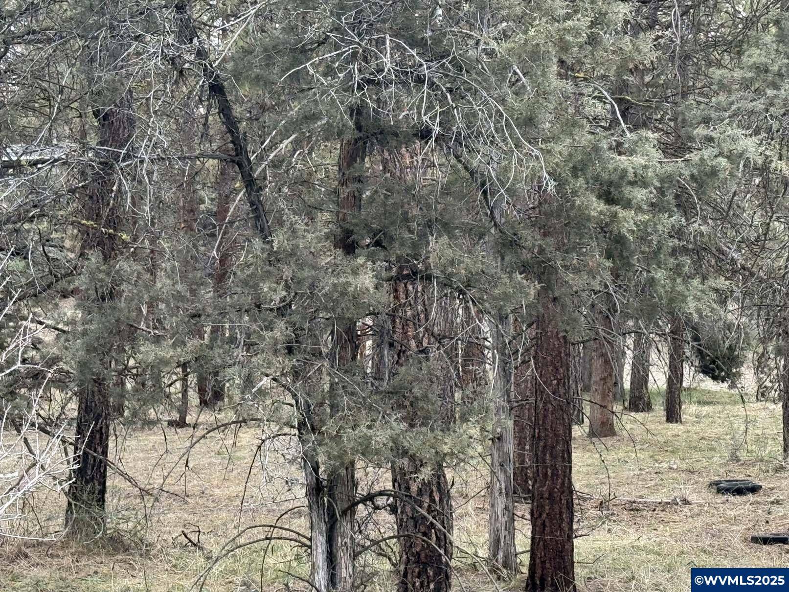 Bonanza, OR 97623,L 57 Spoonbill Dr