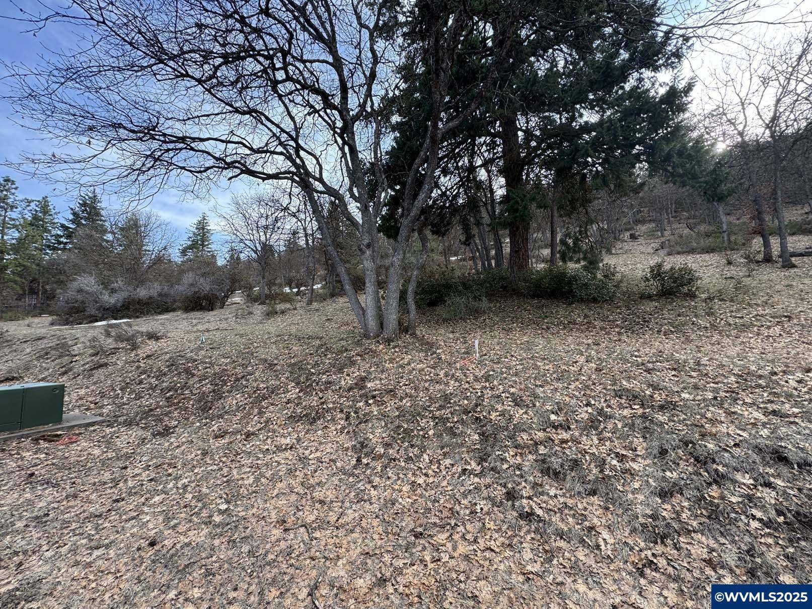 Klamath Falls, OR 97601,Coopers Hawk Rd