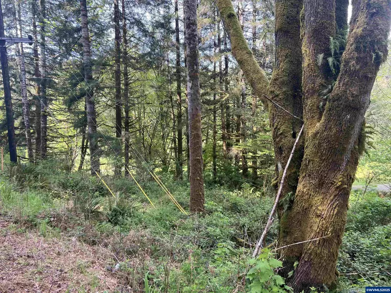 * Alsea Hwy, Alsea, OR 97324