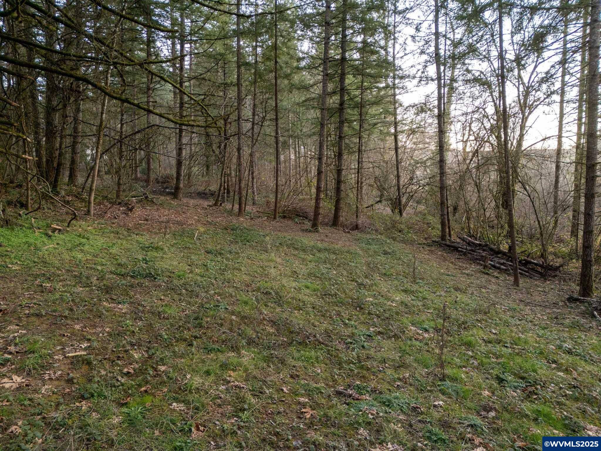 Albany, OR 97321,0 Bramblewood Ln