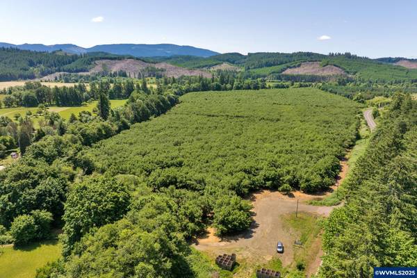 0 Alsea Hwy, Alsea, OR 97324