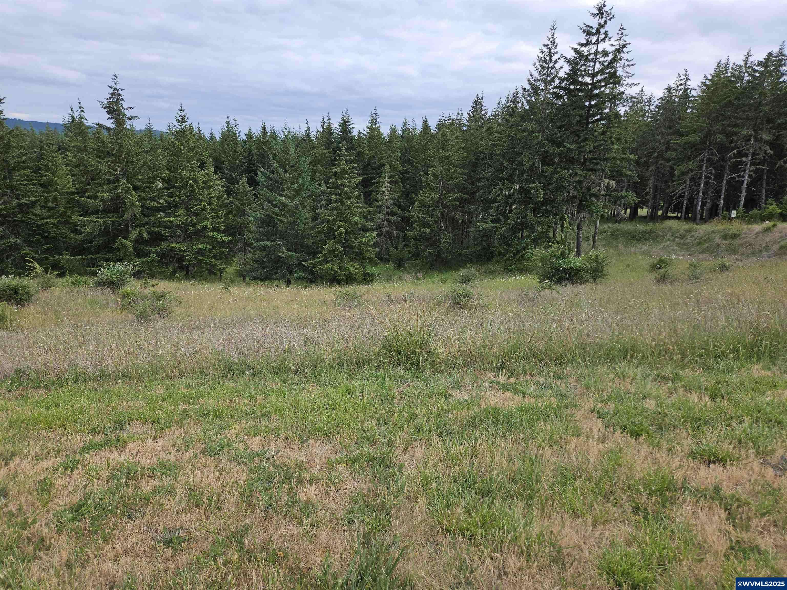 Lot 24 Goshawk Ln, Philomath, OR 97370