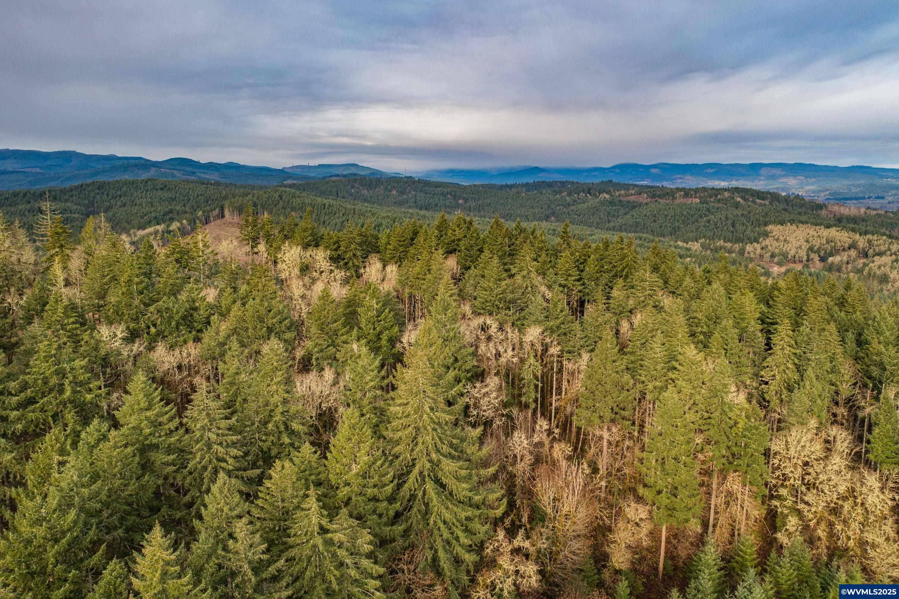 Monmouth, OR 97361,0 Airlie Rd
