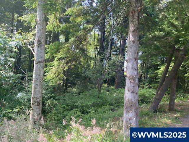 Gleneden Beach, OR 97388-9999,Lot 400 Wells St
