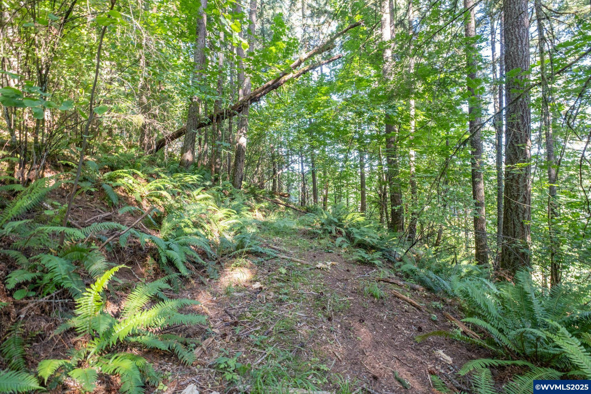 Lebanon, OR 97355,TL 1400 Bartels Creek Dr