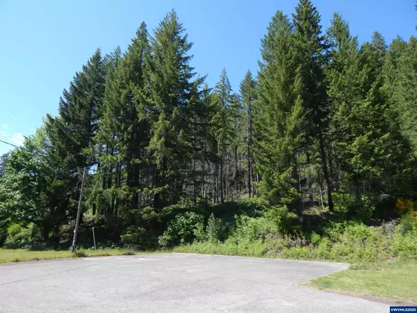 Idanha, OR 97350,N Santiam Hwy