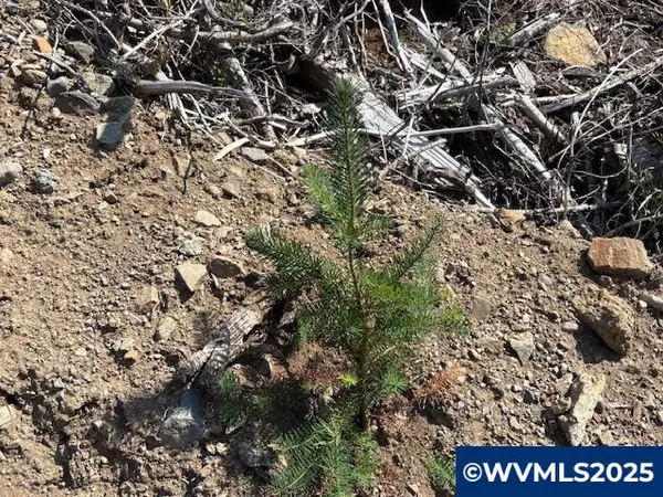 Scio, OR 97374,0 Thomas Creek (160) Dr