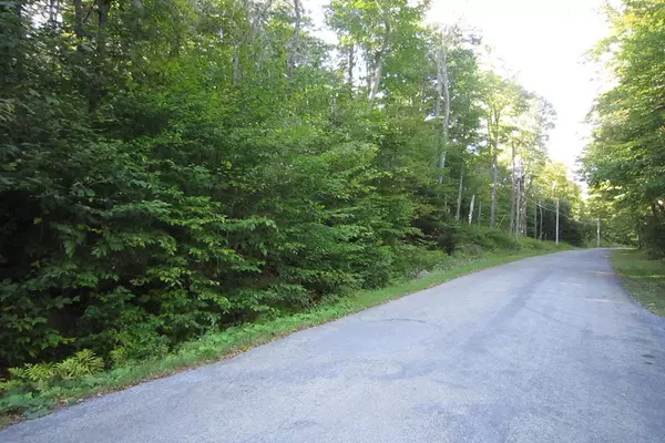 Big Moose, NY 13331,0 Twitchell RD