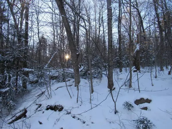 Big Moose, NY 13331,0 Twitchell RD