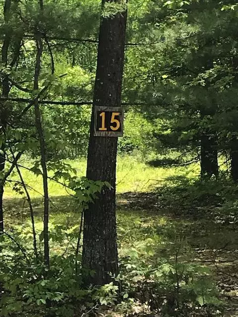 Ausable Forks, NY 12912,Lot 15 Stevens Landing RD