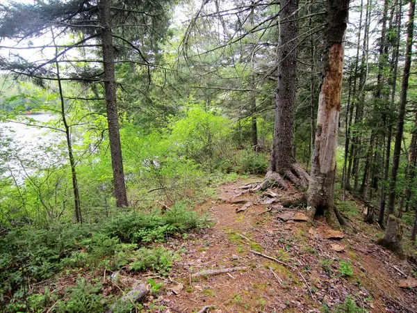 Thendara, NY 13472,0 Okara RD W