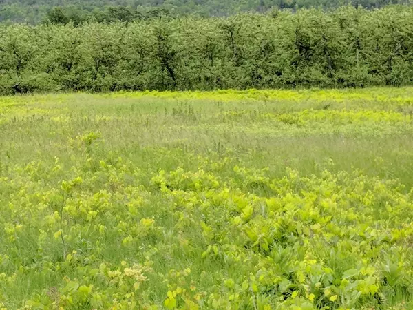 Peru, NY 12972,0 Calkins RD