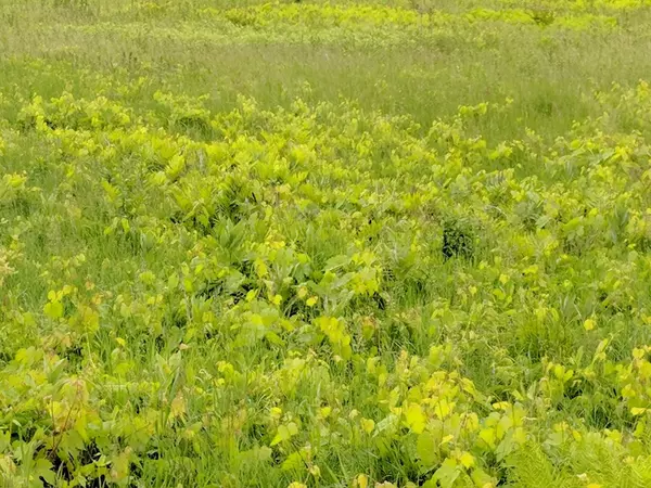 Peru, NY 12972,0 Calkins RD