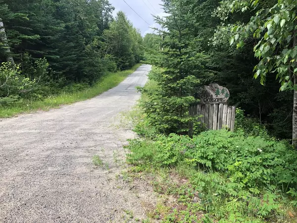 Indian Lake, NY 12842,Lot3.113 Balsam DR