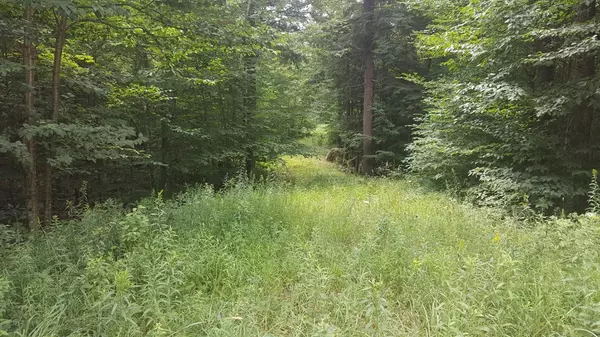 Piercefield, NY 12986,17 Raquette Flow DR