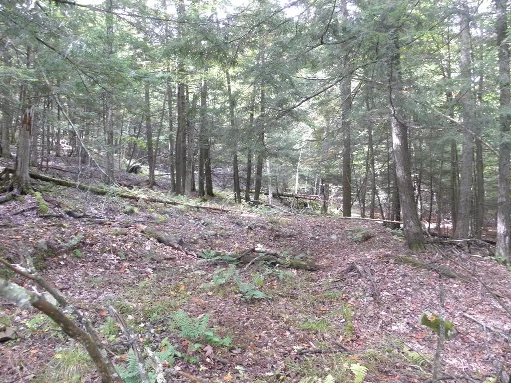 Elizabethtown, NY 12932,Lot 13 Lincoln Pond RD