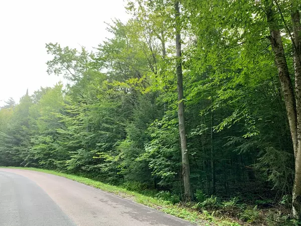 Lyon Mountain, NY 12952,0 Sunset RD