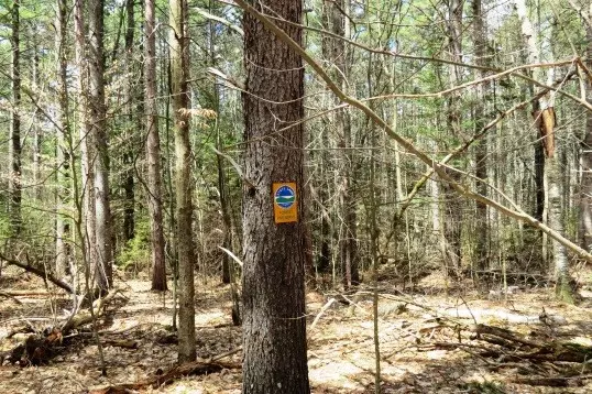 Jay, NY 12941,Lot 163 Algonquin LN