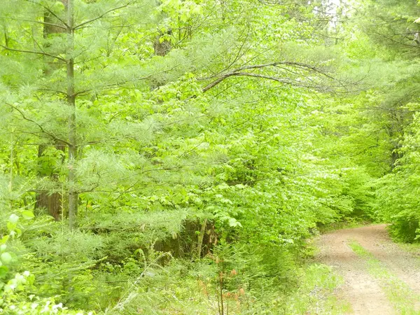 Peru, NY 12972,147 Beaver Meadow WAY