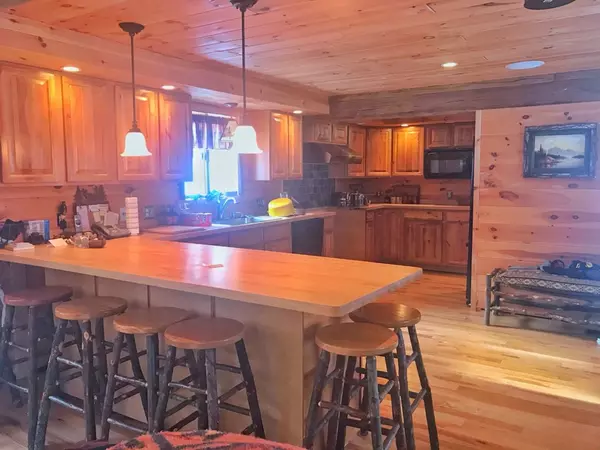 Big Moose, NY 13331,167 Darts Lake RD