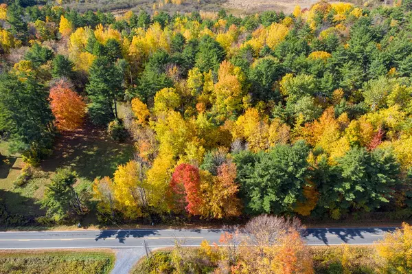 Keeseville, NY 12944,1271 Highland RD