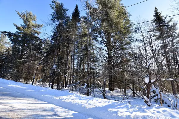 Indian Lake, NY 12842,Lot 5 Cedar River RD
