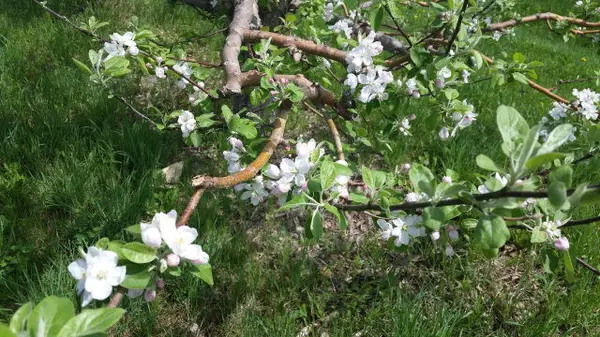 Peru, NY 12972,0 Clark RD