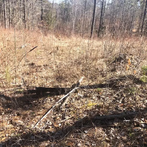 Peru, NY 12972,0 Barney Downs RD