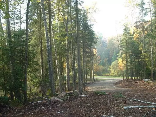 Indian Lake, NY 12842,113 Deerpath TRL