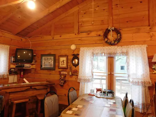 Brantingham, NY 13312,7962 Plato RD