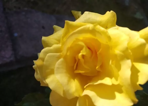 Chateaugay, NY 12920,432 Lake RD