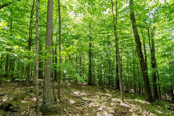 Keene, NY 12942,Lot 2 Moose Hill WAY