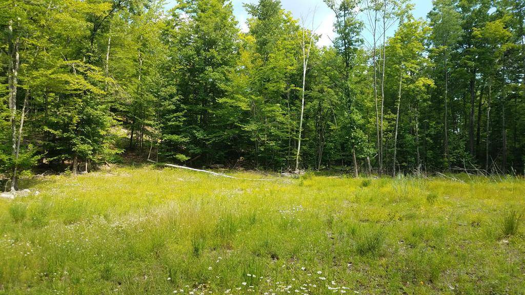 - Lincoln Pond RD, Elizabethtown, NY 12932